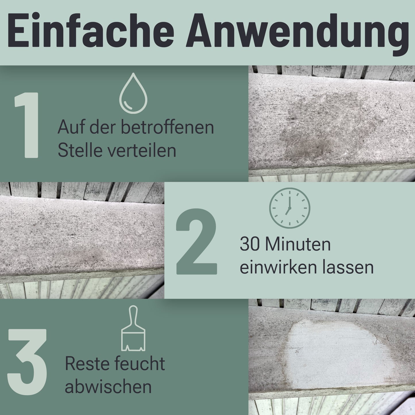 Schimmelentferner-Set
