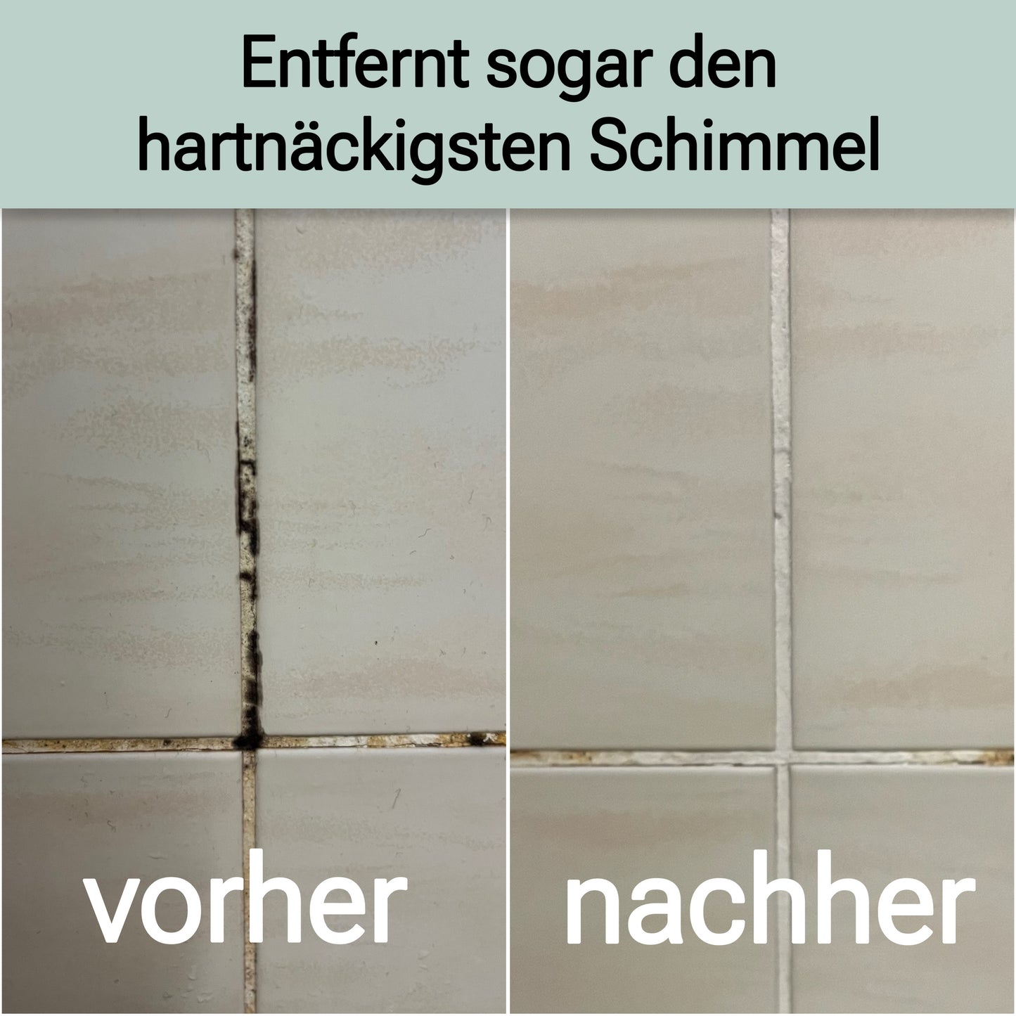 Schimmelentferner-Set