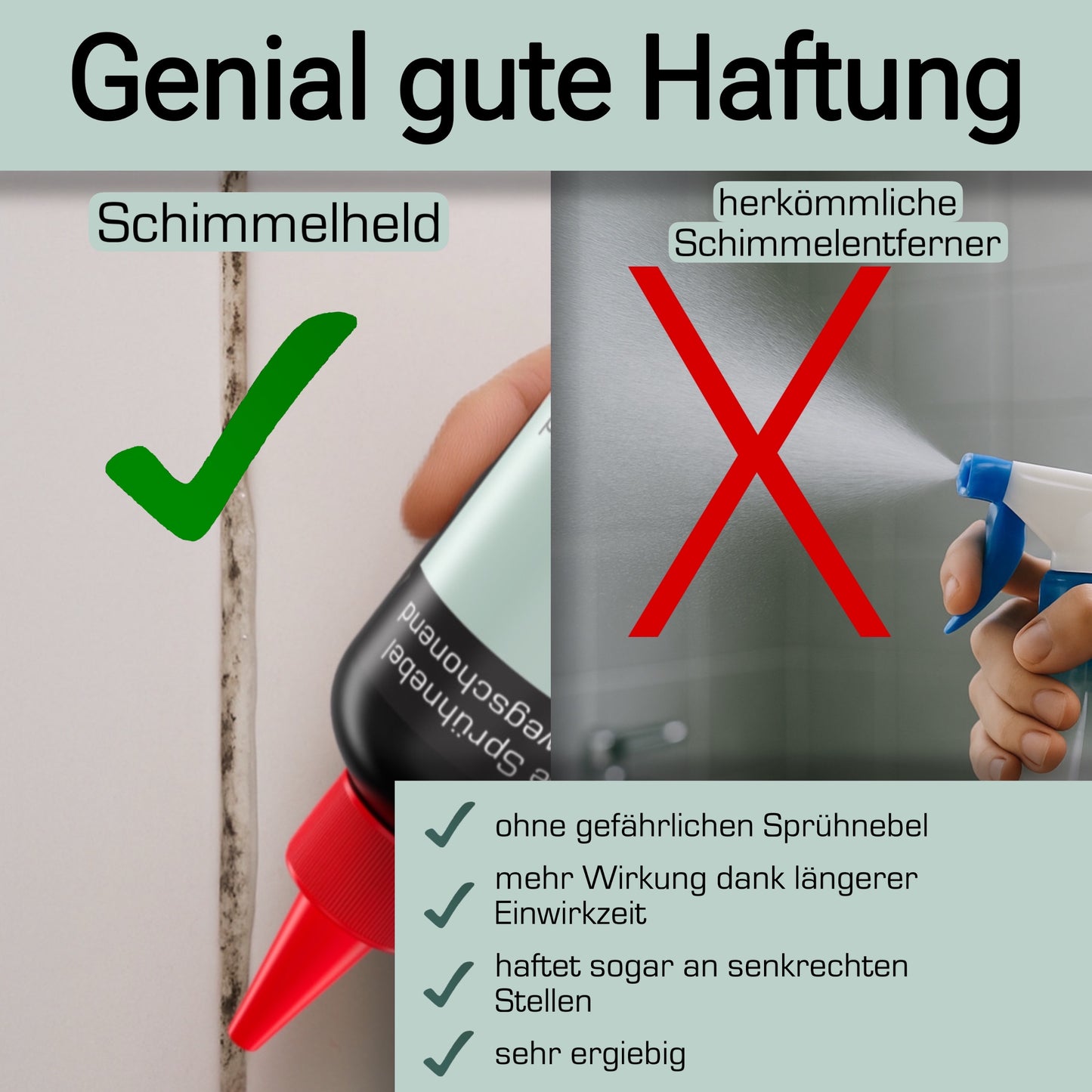Schimmelentferner-Set