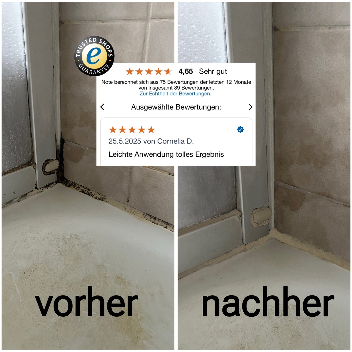 Schimmelentferner-Set