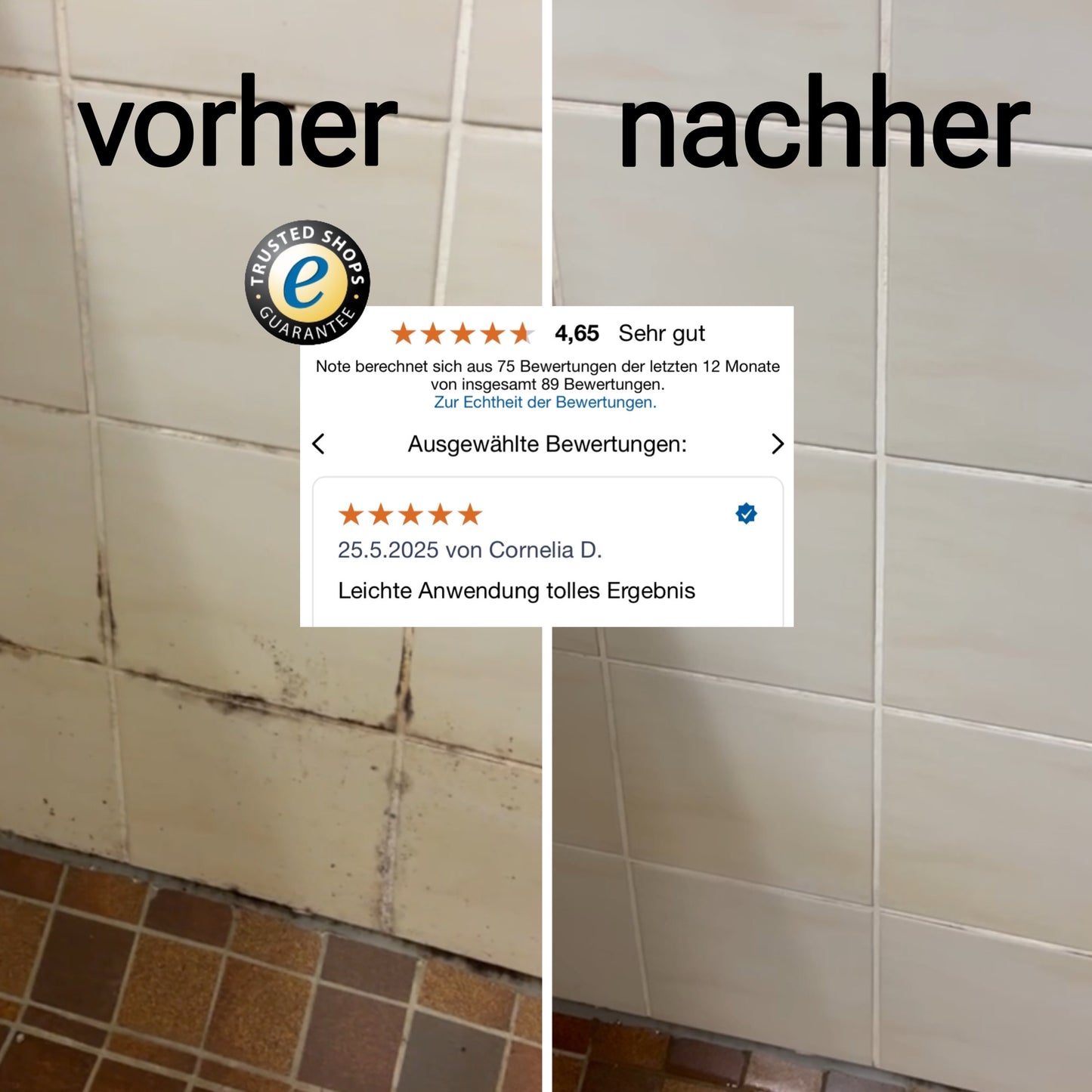 Schimmelentferner-Gel