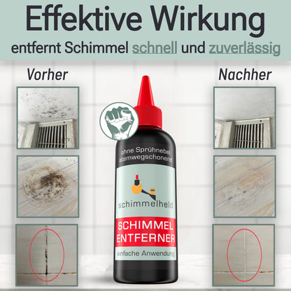 Schimmelentferner-Set