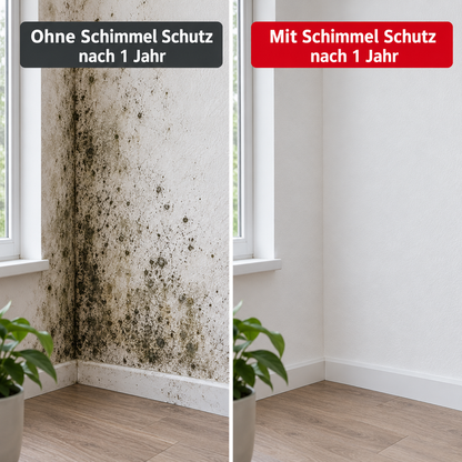 Schimmel Schutz Imprägnierung
