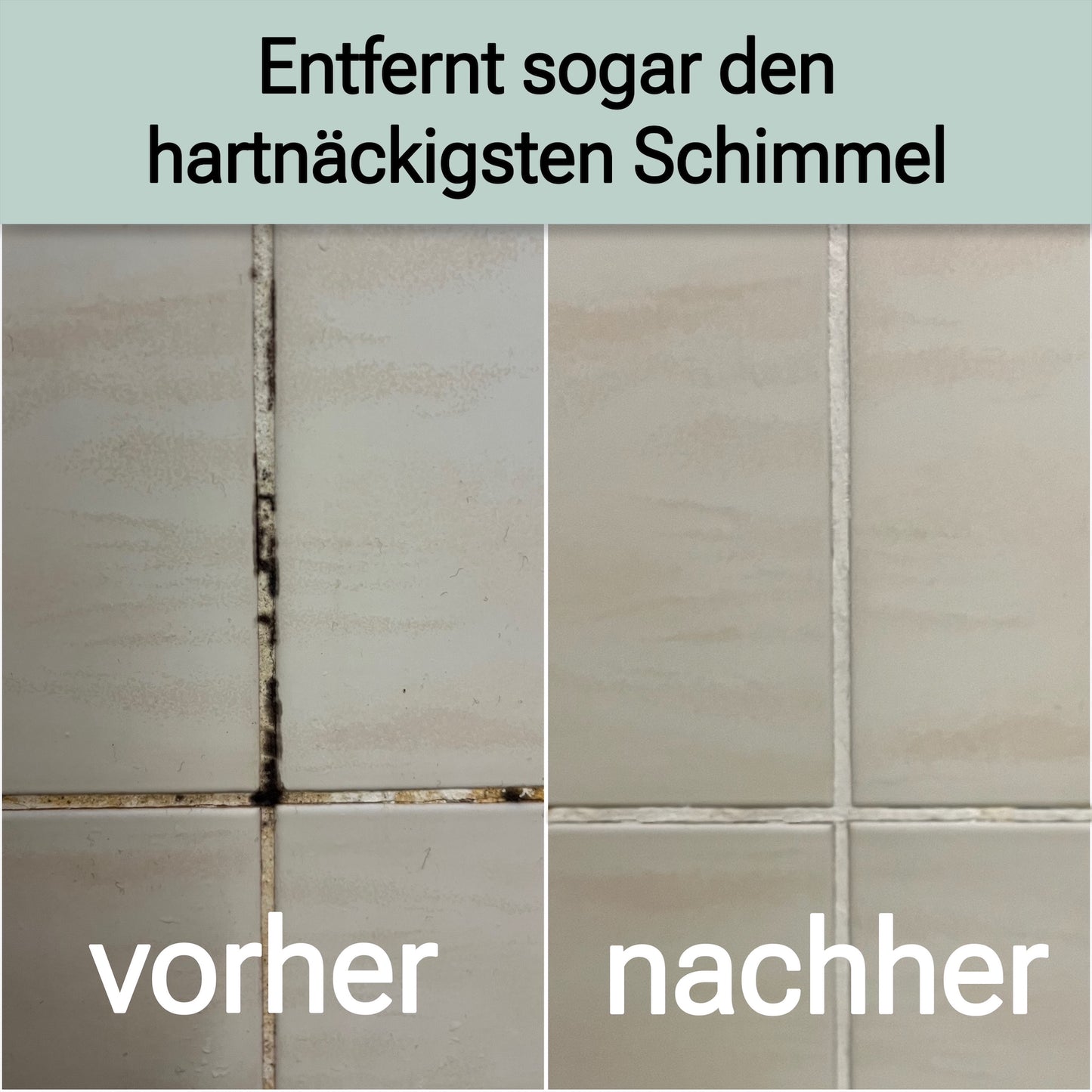 Schimmelentferner-Gel