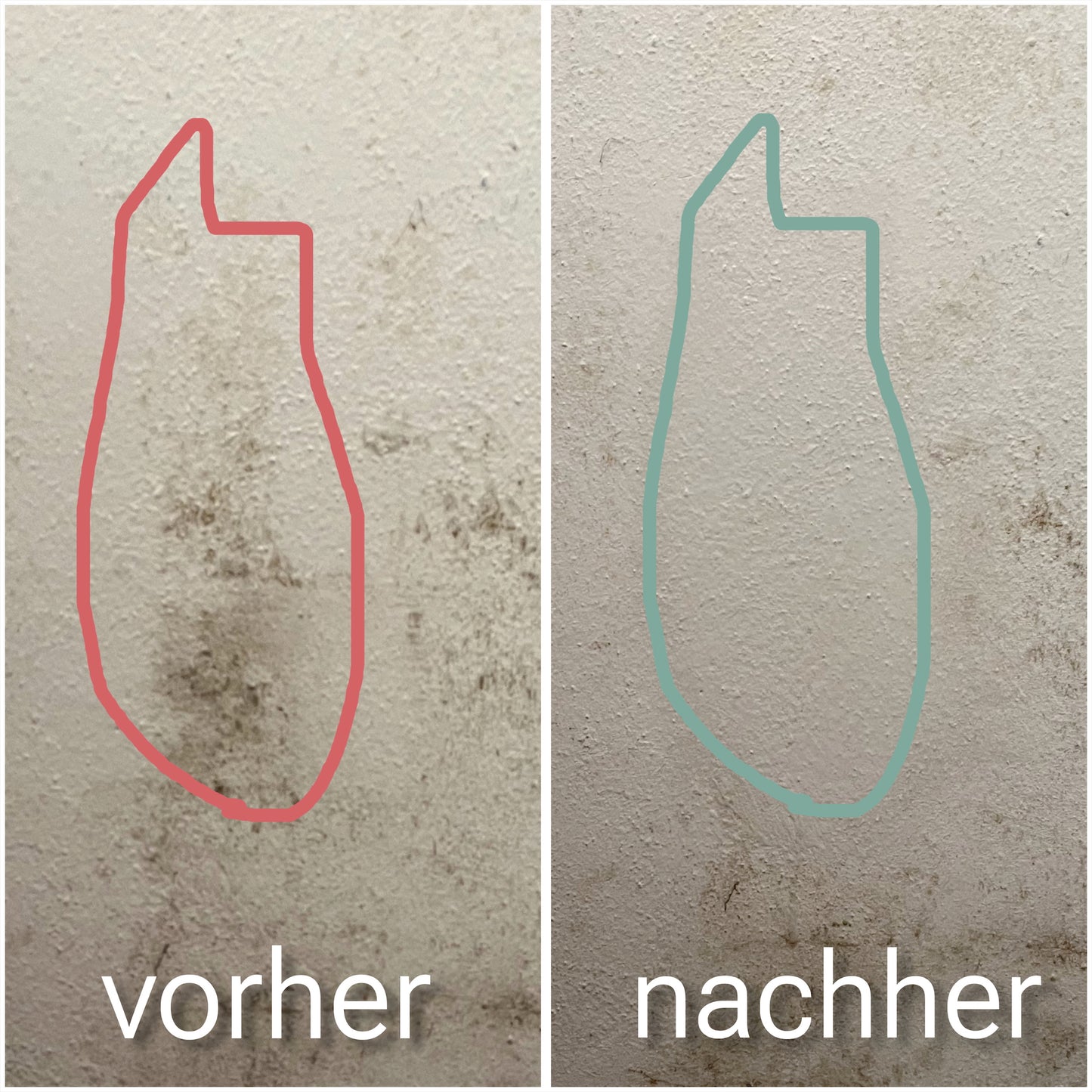 Schimmelentferner-Gel