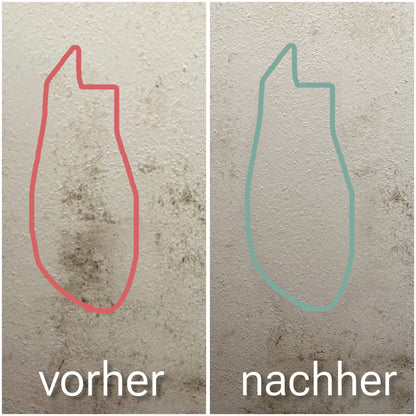 Schimmelentferner-Gel